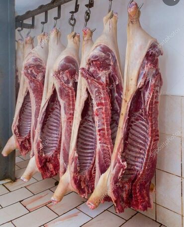 туша баранина: Продаю,реалезую мясо свинины. Тушами полу тушами минимальный заказ пол