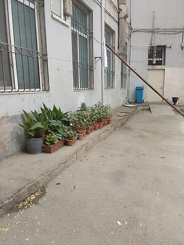 Uzunmüddətli kirayə evlər: 45 kv. m, 2 otaqlı — 12