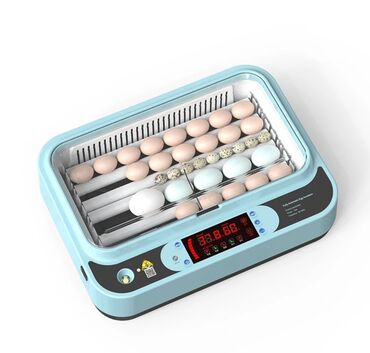 Oprema za kućne ljubimce: INKUBATOR Automatski nove generacije za 36 jaja 12v/220v — 6