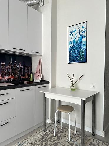 Продажа квартир: 1 комната, 30 м², Кара-Жыгач ж/м Индивидуалка, 2 этаж, Евроремонт — 1