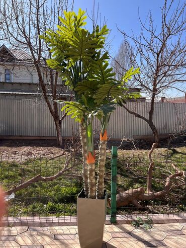 Декоративные цветы: Искусственные деревья и цветы — долговечный и стильный декор без at lalafo.kg — 9 Декоративные цветы: Искусственные деревья и цветы — долговечный и стильный декор без — 9