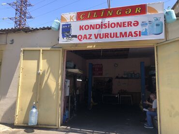 Təhsil, elm: 50/50 elektirk axtarılır və yaxud arendayaya yarba yarı