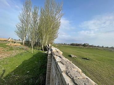 Продажа участков: 81 соток, Для бизнеса, Красная книга — 15