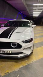 Автомойки: Автомойка | Полировка — 7