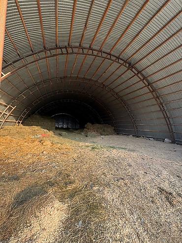 сары булун: 100 соток, Иштеп жаткан, Жабдуулары менен, Электр энергиясы — 3