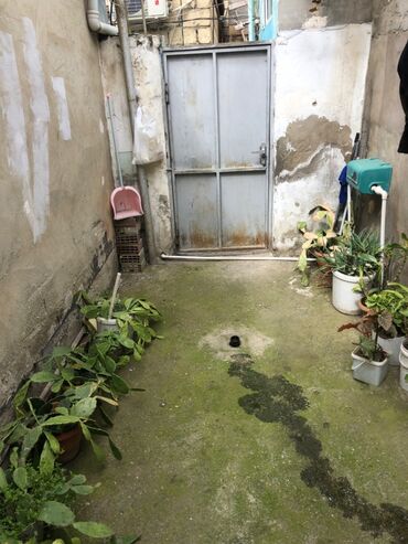 Həyət evləri və villaların satışı: 2 otaqlı, 45 kv. m, Kredit yoxdur, Orta təmir — 11