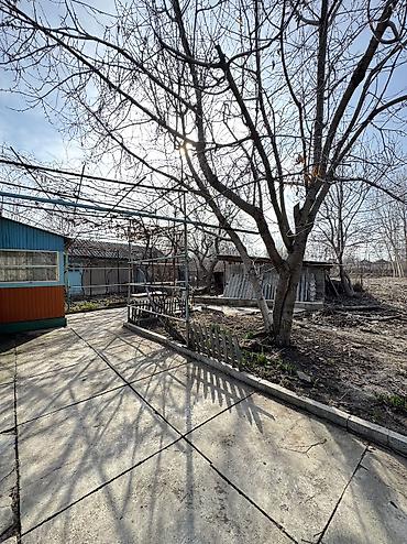 Продажа коттеджей и домов: ✨Продаётся дом в с. Беловодское✨ 📐Участок: 10 соток • Общая площадь — 6