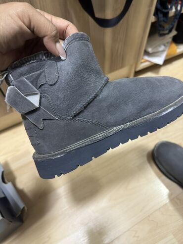 зимние сапоги: Угги, 36, UGG, Новый, цвет - Серый, Самовывоз, Платная доставка