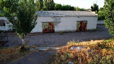 оптовый товар: Кошара, 450 соток, Действующий, С оборудованием, Скважина, Электричество, Холодная вода — 10