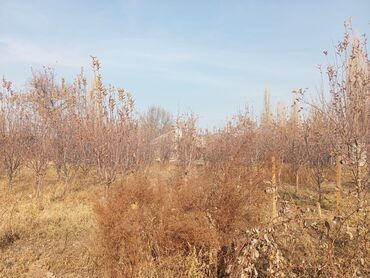 Продажа домов: Дом, 150 м², 5 комнат, Собственник, Косметический ремонт — 1