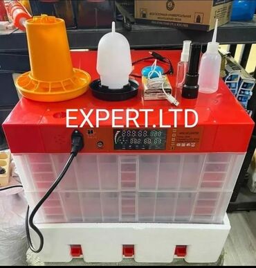 İnkubatorlar: Çin, Fabrik istehsalı, Tam avtomat, Bütün növ quşlaq üçün — 30