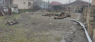 Torpaq sahələrinin satışı: Tikinti -da lalafo.az — 3 Torpaq sahələrinin satışı: Tikinti — 3