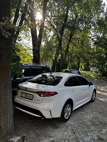 levin corolla: Toyota Levin: 2020 г., 1.2 л, Автомат, Бензин, Седан — 5