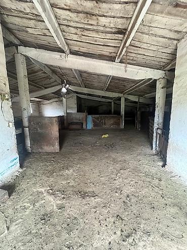 Продажа сельхоз предприятий: Кошара, 82 соток, Действующий, Частично с оборудованием, Электричество — 6