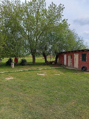 Daşınmaz əmlak: 3 otaqlı, 100 kv. m, Orta təmir — 5