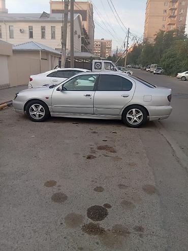 дифлекторы: Nissan Primera: 2001 г., 2 л, Автомат, Бензин, Седан — 2