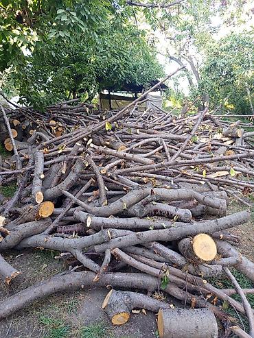 дрова карагач: Продаётся древесина вишни 🍒🌳 Общий объём — примерно 3–4 «Портера». 💰 — 2