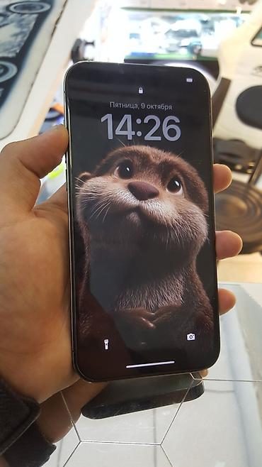 Мобильные телефоны: IPhone 13 Pro Max alpine green. 256гб 100% акб фейс, трутон все естб — 3