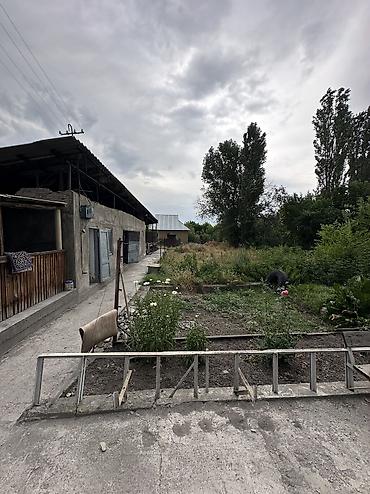 1: ✨ Продаётся дом в с. Сокулук ✨ 🏡 Характеристики — 6