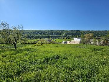 ev elanlari 2022: 12 sot, Tikinti, Mülkiyyətçi, Kupça (Çıxarış) — 6