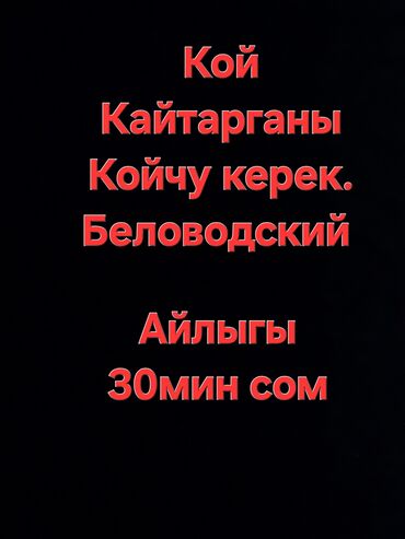 повара на дому: Требуется Скотник, Оплата Ежемесячно