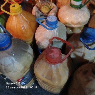 Продаю жир в большом количестве
