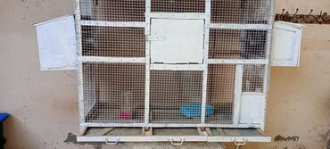 it yuvasi satilir: Qəfəs satılır karkası dural matiryaldir üzünü 1-met hün 80-sat