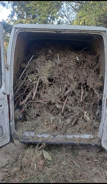 Biznis usluge: KOMPLETNO ČIŠĆENJE SVIH OBJEKATA – Brzo i pedantno! ​ Nudimo — 9