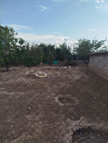 Сельхоз предприятия: Продаю Птицеферма, 10 соток, Действующий, С оборудованием, Электричество, Канализация, Отопление — 9