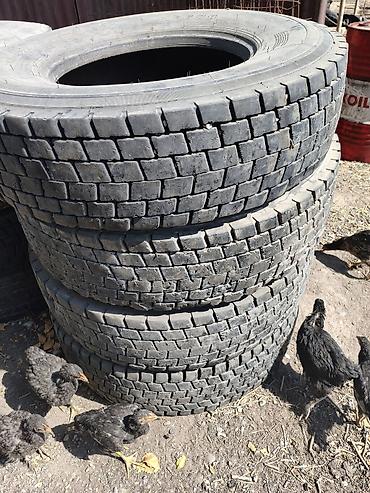 maxxis 315: Грузовые шины Agate 315/80 R22.5 - Размер: 315/80R22.5 - — 1