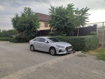 елентра хундай: Hyundai Sonata, серебристый седан - Кузов: 4-дверный седан