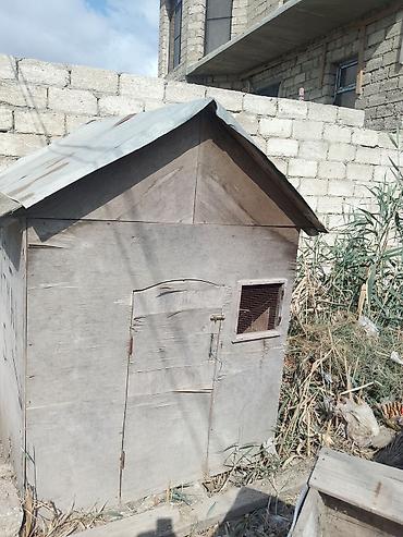 heyvanların cütləşməsi: Taxta toyuq/broyler yuvası (mini tövlə) - Material: qalın faner — 5