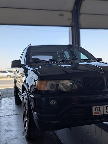 за неделю: BMW X5: 2002 г., 4.4 л, Автомат, Бензин, Кроссовер — 5