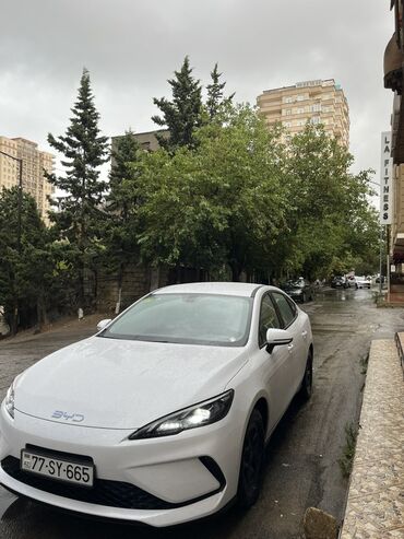 byd disk: Gündəlik arendaya verilir. Buraxılış kartı var. Təzə maşındır. Bolt
