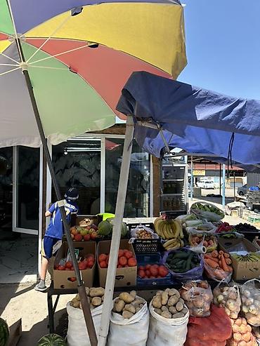 Готовый бизнес сатылат Фруктовый, овощной магазин ачсаныздар болот at lalafo.kg Готовый бизнес сатылат Фруктовый, овощной магазин ачсаныздар болот