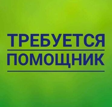 авто электрик фура: Требуется Администратор - СТО, Оплата Дважды в месяц, Без опыта