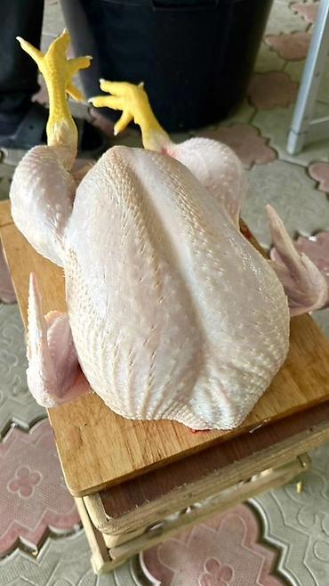 Бройлер: Продаем домашних бройлеров — выращены на натуральных кормах с особым — 3