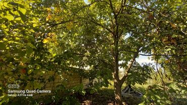 Həyət evləri və villaların satışı: 6 otaqlı, 150 kv. m, Orta təmir — 47