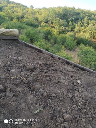 Toxumlar: Şəhid ailələrinə çatdırılma pulsuzdur. Qara torpaq Şamaxı İsmayıllı — 17