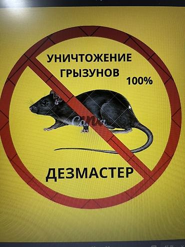 Дезинфекциялоо, дезинсекциялоо, | Бүргөлөр, Вирустар, микробдор, Канталалар, | Жертөлө, ороо, Батирлер, Подъезддер