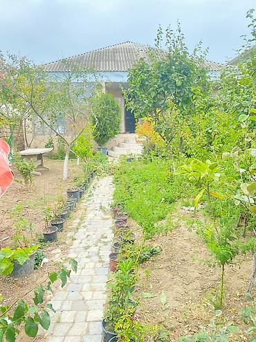 Həyət evləri və villaların satışı: Həyət evi Albalılıqda paket kupça 5sot 3 otaq real alıcıya endirim — 2