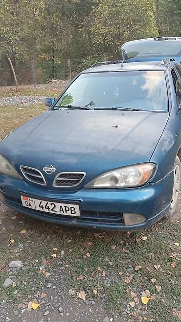ниссан стейджа: Nissan Primera: 2001 г., Механика, Бензин, Универсал — 2