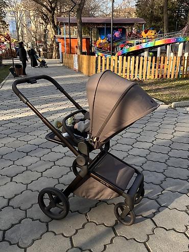 Коляски: Коляска «Anex flo»
Цвет кофе/коричневый — 5