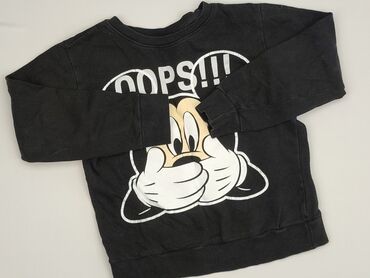 Світшот, Disney, стан - Дуже гарний