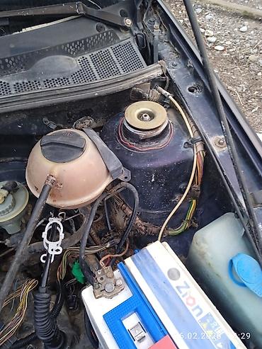 Volkswagen: Volkswagen Golf: 1992 г., Бензин, Хэтчбэк — 5