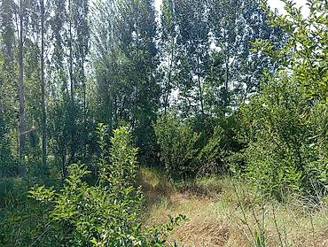 Продажа участков: 23 соток, Для строительства, Красная книга — 7