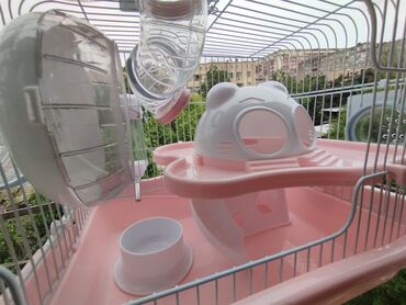 Ideal hamster qəfəsidi çox az işlənib deyə ucuz satıram.Real alıcıya