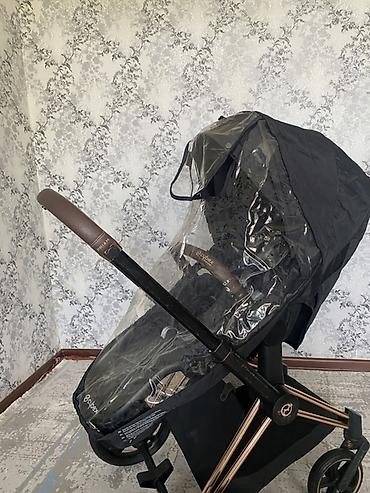 foo foo: Коляска прогулочная Cybex Balios (серия Gold), цвет Black с шасси Rose — 5