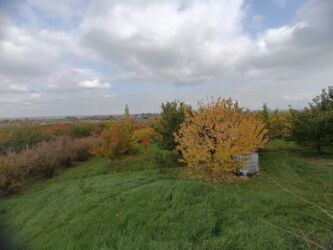 Bağ evlərinin satışı: Şabran, 100 kv. m, 3 otaqlı, Hovuzsuz, Kommunal xətlər qoşulmayıb — 10