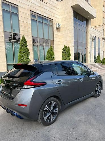 leopard 3: Nissan Leaf: 2018 г., Автомат, Электромобиль, Хэтчбэк — 9